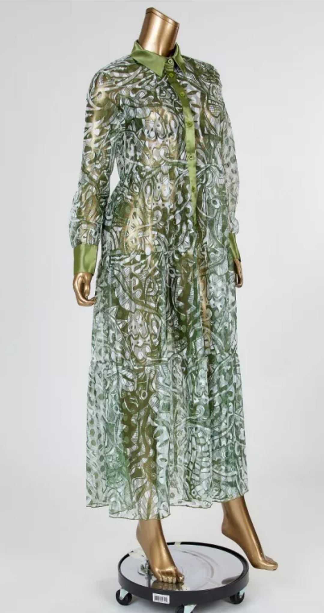 Sheer Print Dress